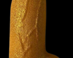 raheeladarling