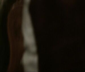 Explicit Nudity Movie Videos - Sex and Naked scenes