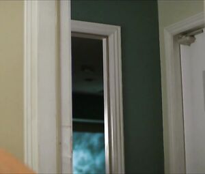 Lyndsy Fonseca, Paget Brewster naked - Down Dog s01e01 (2015)