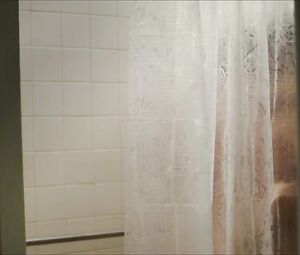 Lyndsy Fonseca, Paget Brewster naked - Down Dog s01e01 (2015)