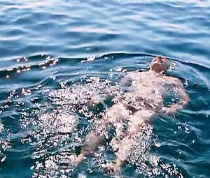 Rosamund Pike, Ayelet Zurer - Fugitive Pieces (2007)