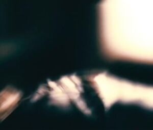 Vica Kerekes nude - 1 (2009)