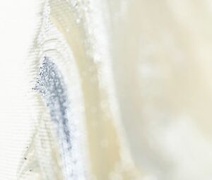 Cornelia Werner nude - The Painter (2016)