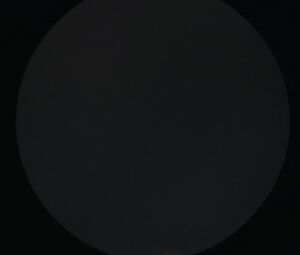 Sara Cosmi - Fallo (2003)