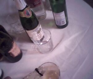 Monika Tilling & Margaret Savinar - Shooting The Warwicks (2015)