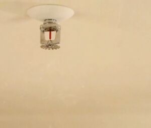 Saralisa Volm - Hotel Desire (2011)