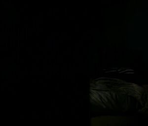 Kristen Stewart - Personal Shoppe (2016)