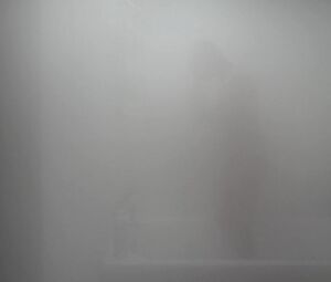 Sarah Hagan & Sara Malakul Lane - Sun Choke (2015)