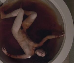 Sarah Hagan & Sara Malakul Lane - Sun Choke (2015)