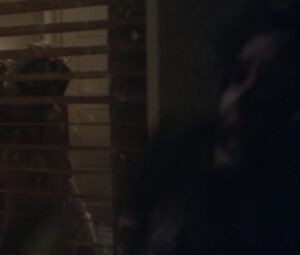 Sarah Hagan & Sara Malakul Lane - Sun Choke (2015)