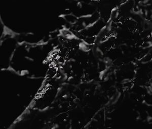 Ava de Lacy - Last Night in Paris (2016)