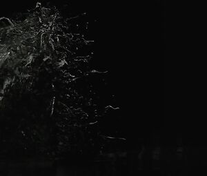 Ava de Lacy - Last Night in Paris (2016)