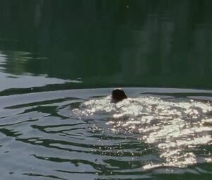 Salome Richard - Septembre (2013)