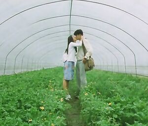 Doona Bae & Other - Plum Blossom (2000)
