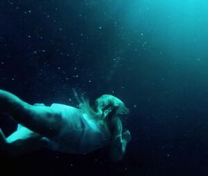 Lilly-Fleur Pointeaux & Gala Besson - Horsehead (2014)