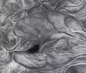 Jesse Sullivan - Fuckkkyouuu (2015)