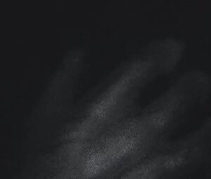 Jesse Sullivan - Fuckkkyouuu (2015)