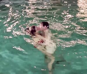 Joely Richardson, Jane Gurnett, Juliet Stevenson - Drowning by Numbers (1988)