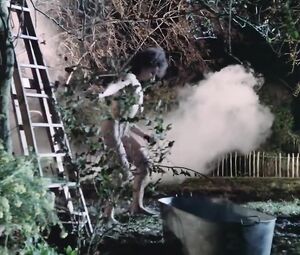 Joely Richardson, Jane Gurnett, Juliet Stevenson - Drowning by Numbers (1988)