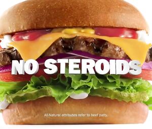 Banned Uncensored Carl's Jr Charlotte McKinney All Natural
