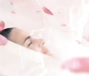 Best of Palmolive Commercials