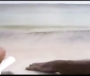 CORONA_1 beer commercial ever