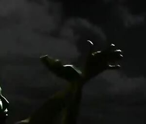 FLSA The Original's Raindance