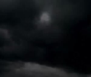 FLSA The Original's Raindance