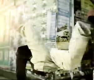 Fashion victims find the perfect body (2003)