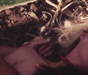 Barbara Evans - Dois Irmaos s01e03 (2017)