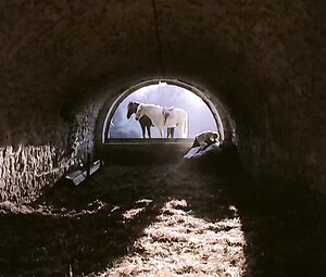 Brigitte Lahaie - Je Suis A Prendre (1978)