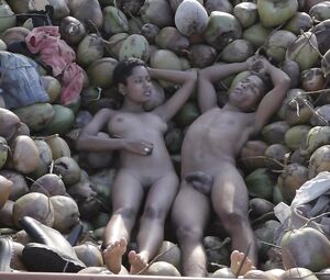 Dandara de Morais - August Winds (2014)