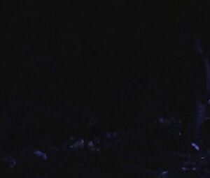 Lisa Friedrich - Meet Me There (2014)