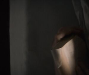 Marion Cotillard - Mal De Pierres (2016)