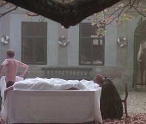 Pamela Villoresi & Teresa Ann Savoy naked - Private Vices, Public Pleasures (1976)