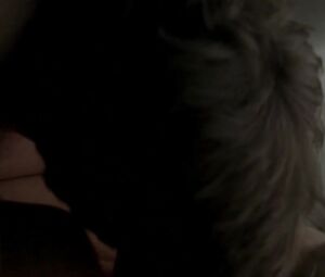 Sonya Walger - Tell Me You Love Me(2007)