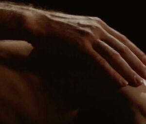 Veronique Picciotto - Suivez La Fleche (2011)