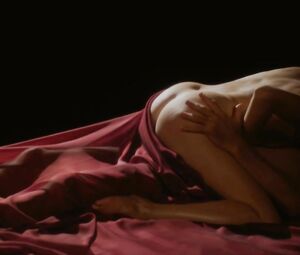 Veronique Picciotto - Suivez La Fleche (2011)