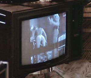 Élisabeth Buré & Lisa Stophenberg & Emmanuelle Parèze & Ursula White - Couples voyeurs Et Fesseurs (1977)