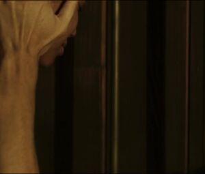 Adriana Ugarte, Berta Vázquez - Palmeras en la nieve (2015)