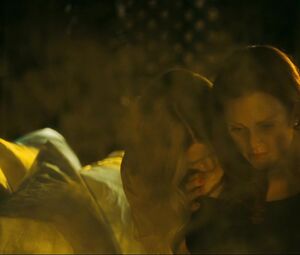Amanda Seyfried & Julianne Moore - Chloe (2009)