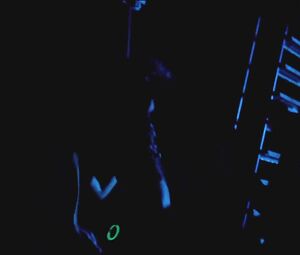 Carolyn Genzkow, Sina Tkotsch, Lynn Femme nude - Der Nachtmahr (2015)