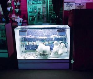 Cate Blanchett, Teresa Palmer, Natalie Portman, Isabel Lucas - Knight Of Cups (2015) HD (Nude, Shaved Pussy)02