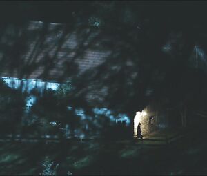 Felicitas Woll - Liebe bis in den Mord (2016)