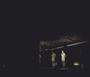 Jana Pallaske, Saskia Valencia nude - Kopf oder Zahl (2009)