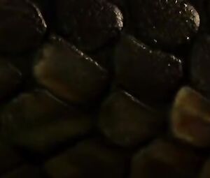 Karnpitchar Ketmanee, Arpa Pawilai - The Snake (2015)