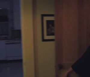 Paz de la Huerta, Tristan Risk, Sheila Campbell nude - The Editor (2014)