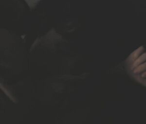 Riley Keough, Kate Lyn Sheil nude - The Girlfriend Experience S01E02 (2016)