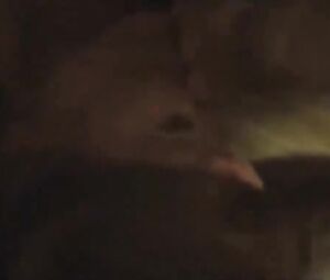 Rooney Mara, Cate Blanchett - Carol (2015) (Sex, Tits)