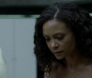 Thandie Newton, Angela Sarafyan, Tessa Thompson, Evan Rachel Wood nude - Westworld S01E07 (2016)
